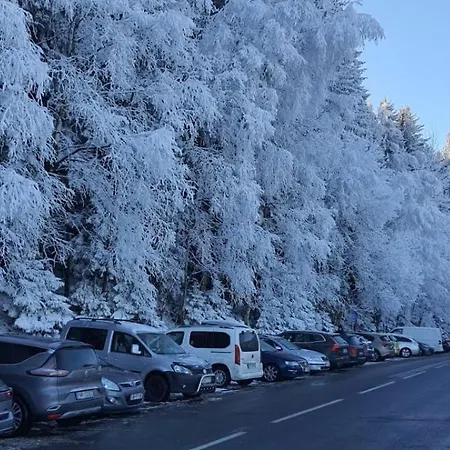 Triventi Z Widokiem Na Sniezke Appartamento