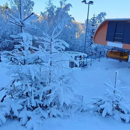 Triventi Z Widokiem Na Sniezke *