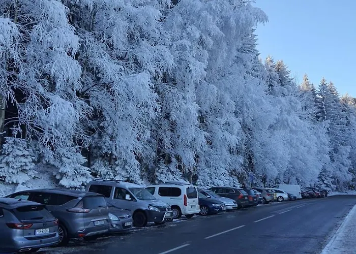 Triventi Z Widokiem Na Sniezke Apartmán